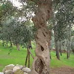 מלון I Melograni ויאסטה