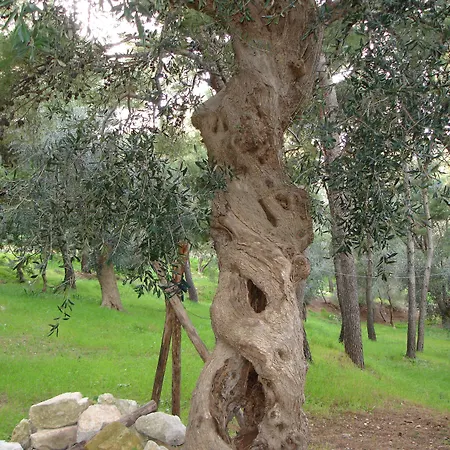 호텔 I Melograni 비에스테