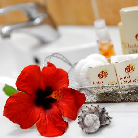 I Melograni 비에스테