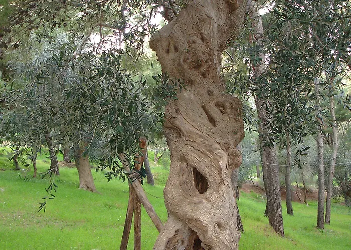 Hotel I Melograni Vieste